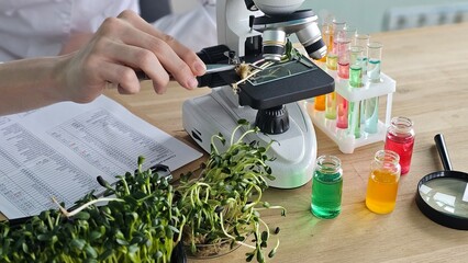 Microscope study with plants and colorful liquids at a laboratory © Nadzeya