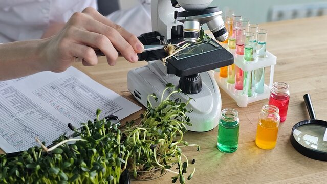 Microscope study with plants and colorful liquids at a laboratory