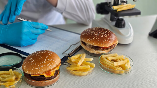 A scientist holds a delicious burger. Food testing concept