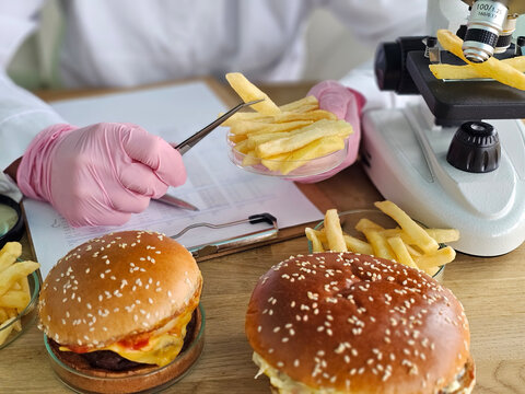 Food testing includes hamburgers and french fries, using a microscope