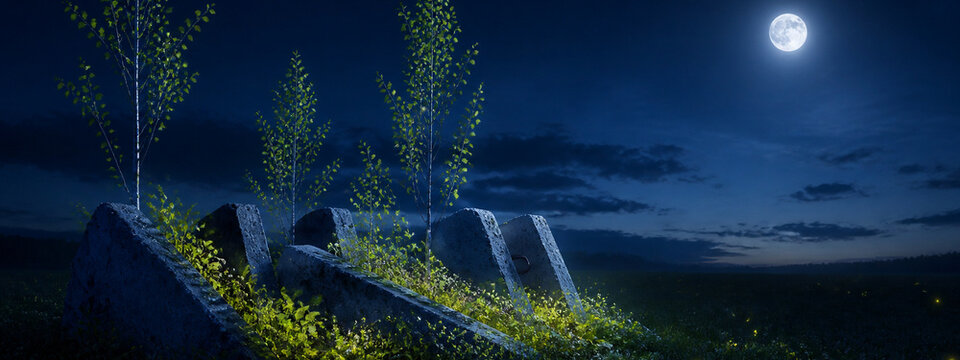 Nature Reclaims Broken Spaces &mdash; An uplifting visual narrative of repair and coexistence