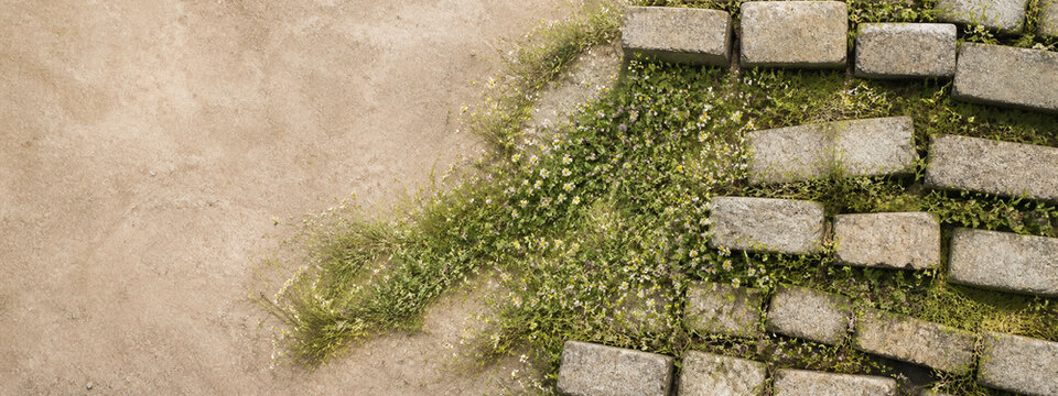 Nature Reclaims Broken Spaces &mdash; A serene concept of reconciliation and shared future