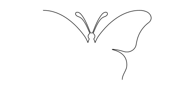 Minimalist butterfly outline drawing animation black lines on white background design element.