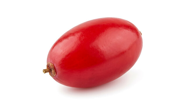Single fresh red cornus mas berry isolated on white background as a high quality png type image