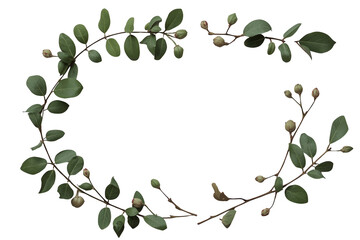 Obraz premium Rectangular botanical frame of green branches and buds
