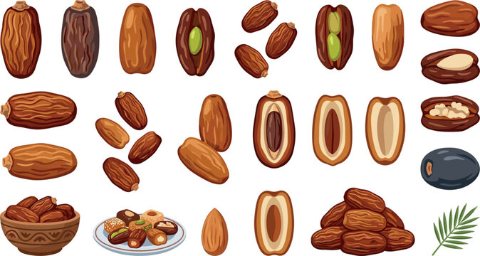 Dried Date Fruit Vector Icon Set Featuring Whole Medjool Dates, Pitless Halves, Seeds, Stuffed Desserts, Bowls, and Palm Leaf Elements for Ramadan Food Designs