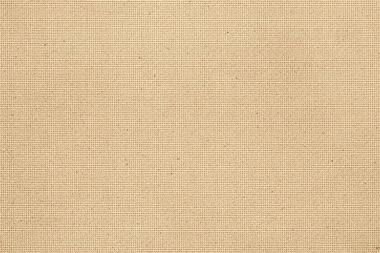  Kraft Riso B&W Halftone Texture
