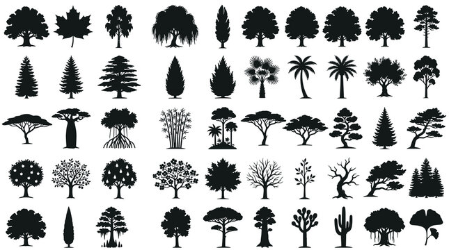 Collection of 50 Natural Tree Silhouettes Featuring Forest, Tropical, Desert, Mountain, Coastal, Orchard, Evergreen, and Deciduous Species