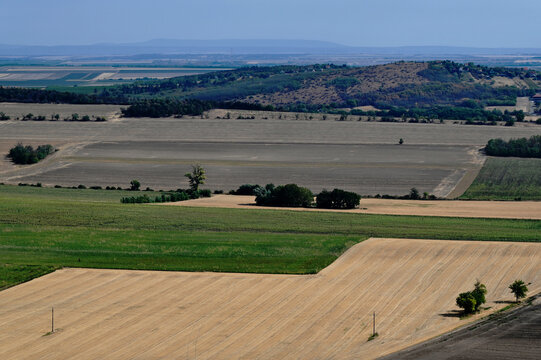 rural field, agricultural land in late summer. aerial view. yellow gold stubble wheat field. green pasture and forest patches, gentle hills in the background. electrical or hydro poles in a distance.