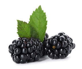 Many ripe blackberries and leaves isolated on white © New Africa