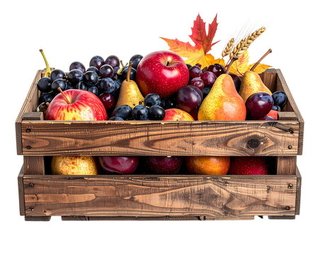 Wooden Crate Filled With Autumn Fruit Harvest Transparent PNG