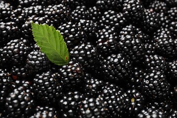 Heap of ripe tasty blackberries and leaf as background, closeup © New Africa