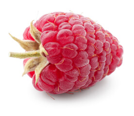 One tasty ripe raspberry isolated on white © New Africa