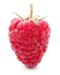 One tasty ripe raspberry isolated on white © New Africa