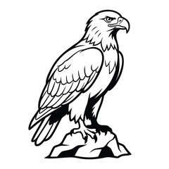 Fototapeta premium Black and white line art illustration of a majestic eagle standing on a stone rock