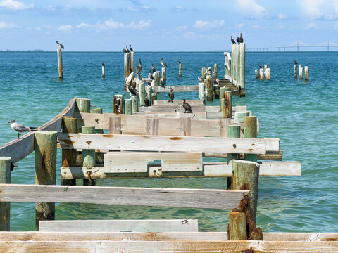 Seabirds perch on ruins of a coastal fishing pier and restaurant damaged by Hurricane Helene (Sept. 26, 2024) and destroyed by Hurricane Milton (Oct. 9, 2024) off Anna Maria Island, Florida Gulf Coast