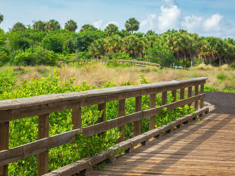 Wooden footbridge ends at a multipurpose trail to a similar footbridge in a nature preserve and conservation research area on a sunny afternoon along the Gulf Coast of Florida