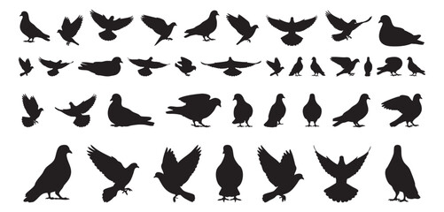 Naklejka premium Festive dove and pigeon silhouette motifs, decorative icons suited for holiday cards, banners, and social posts, gentle compositions communicate peace and celebration, copy space included