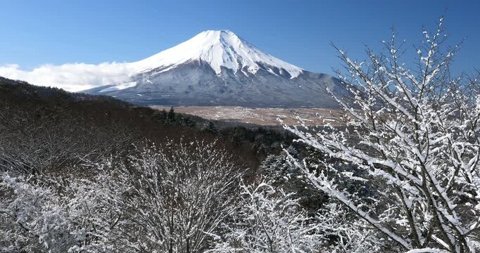 新雪の二十曲峠からの富士山