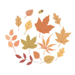 Naklejka premium Vector leaves. Autumn set. Isolated images on white background.