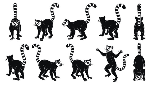 Ring-tailed lemur black silhouette bundle showing front, three-quarter, side, rear and top-down views isolated