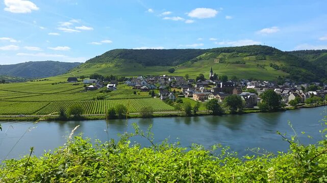 Slow panning motion over beautiful vineyards and villages of the Mosel River, Germany on a sunny summer day