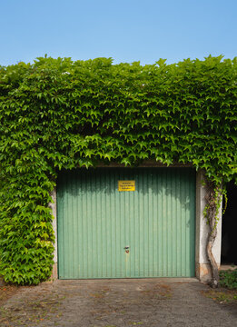 Doppelgarage mit Vorplatz und wilden Wein sehr bewachsen , Garagentor zu