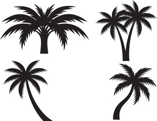 Fototapeta premium Tropical Palm Tree Silhouette Vector Illustration