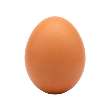 Brown egg on plain background isolated on white background
