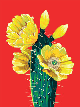 Bright fashionable modern poster with prickly pear cactus flowers on a red background. Сontemporary expressive trendy style. Handmade drawing vector illustration. Can be used to make books, banners.