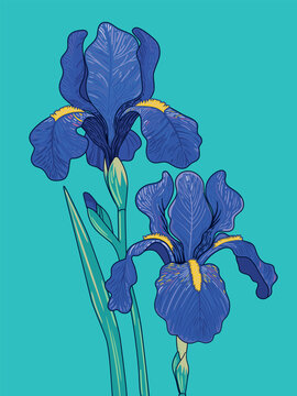 Bright fashionable modern poster with  blue iris buds flowers against a sea-green background. Сontemporary expressive trendy style. Handmade drawing vector illustration. 