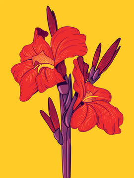 Bright fashionable modern poster with  canna lily buds  flowers on a yellow background. Сontemporary expressive trendy style. Handmade drawing vector illustration. Can be used to make books, banners.