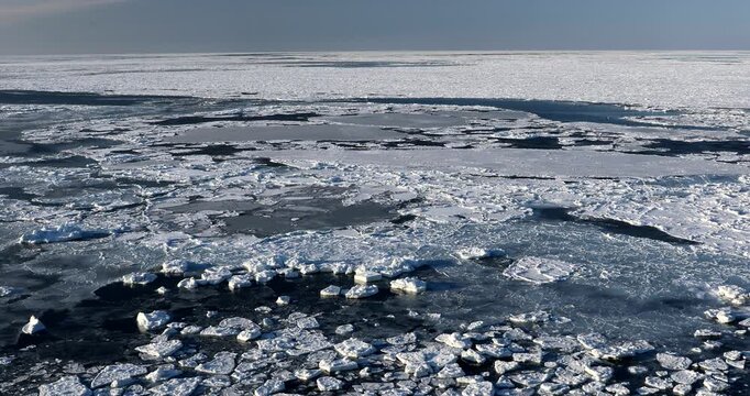 能取岬からオホーツク海の流氷