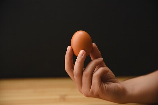 Person holding a brown chicken egg between fingers against a dark background with hand holding organic food raw food cooking ingredient human hand