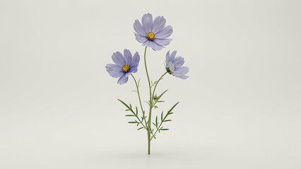 Obraz premium Three light purple cosmos flowers with green stems and leaves isolated on a transparent background