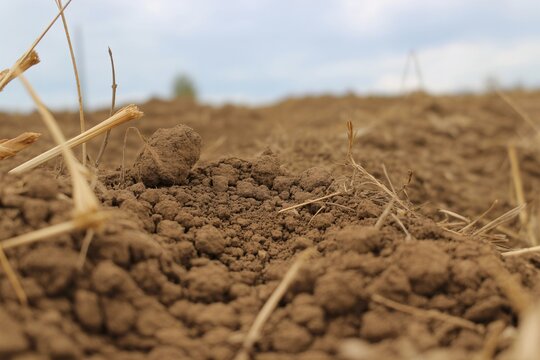 Close-up view of plowed agricultural soil field with dry stubble and cloudy sky brown earth farming ground cultivated land soil texture