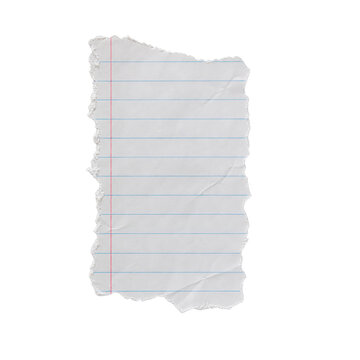 Piece of torn white lined notebook paper with red margin and blue lines, wrinkled texture, isolated on neutral background