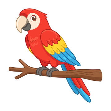 Bright red macaw perched on branch in colorful cartoon illustration