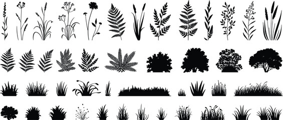 Assorted collection of black silhouettes featuring wild grasses, ferns, bushes, and various meadow plants, isolated on a white background, for botanical © MdJamsed