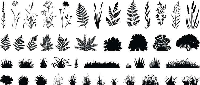 Assorted collection of black silhouettes featuring wild grasses, ferns, bushes, and various meadow plants, isolated on a white background, for botanical