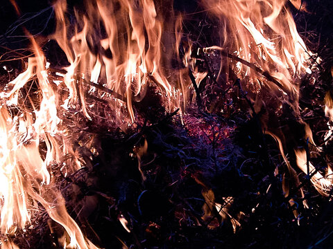 Bright orange flames burning dry brush and twigs in a dark outdoor bonfire setting