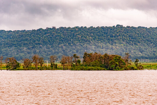 River island with floodplain trees and vegetation on the Amazon River backed by a forested hillside