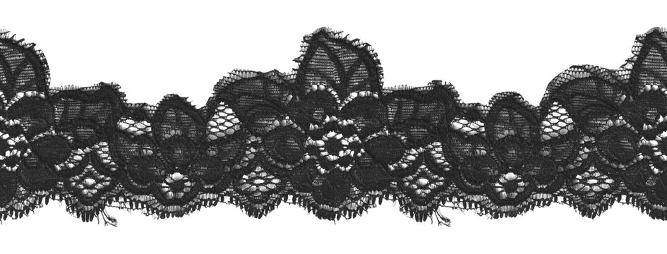 Black Seamless Lace Border Transparent Floral Dark Coquette Vintage Botanical Textile Decorative Embroidery Ornament