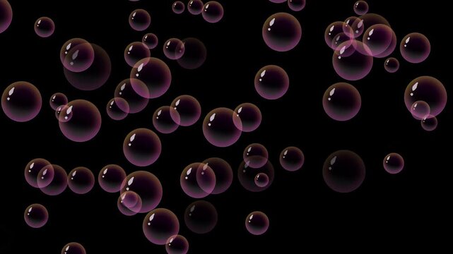 Pink transparent soap bubbles floating upward smoothly, glossy water sphere bubble rising loop animation, delicate air bubble overlay graphic element dynamic on black background. 4k video