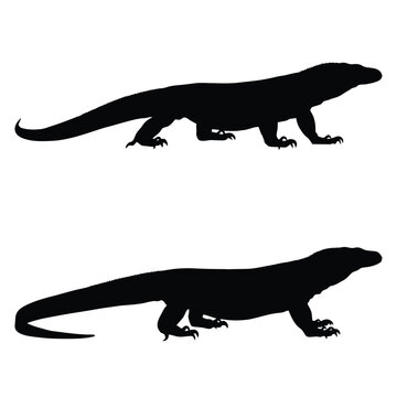 Two monitor lizard silhouettes are depicted in a stark black and white composition silhouette