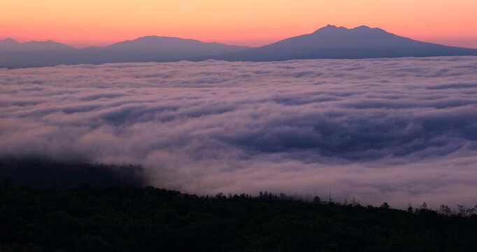 小清水高原から見る朝焼けの雲海と斜里岳