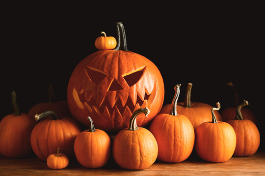 Carved pumpkin with scary face surrounded by an abundance of orange pumpkins and squash. Halloween holiday arrangement featuring rustic harvest decorations on wooden boards