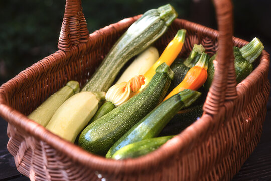 Basket with assorted zucchini and blossoms on wooden background, fresh vegetables composition, farm to table concept. Green and yellow squash close-up, natural light, healthy produce
