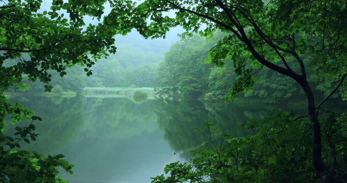 八甲田山の菅沼