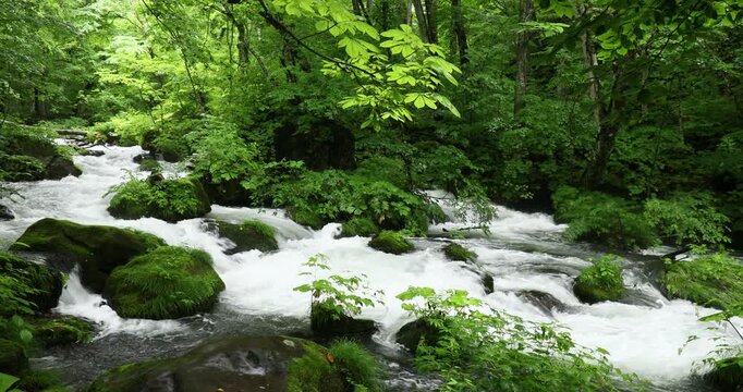 奥入瀬渓流の石ケ戸の流れ